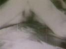 A woman who is only wearing white panties is standing nex to a bed. On top of it is a naked man who is watching her. She takes off her panties, showing her hairy pussy. She lays down on the bed too where the guy fucks her.