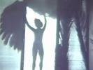 A blonde stripper, Sally Rand, descends the stairs wearing a long dress and ostrich feathers. She dances around the stage, waving the feathers about. When she steps behind a screen a light shines on her from behind, showing that she is naked.